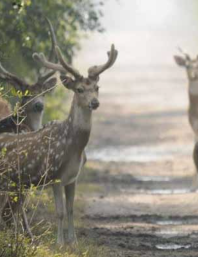 Screenshot 2024 09 17 at 11.09.33 AM